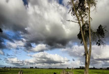 一场惨败引发球队自检！重新竖立信心