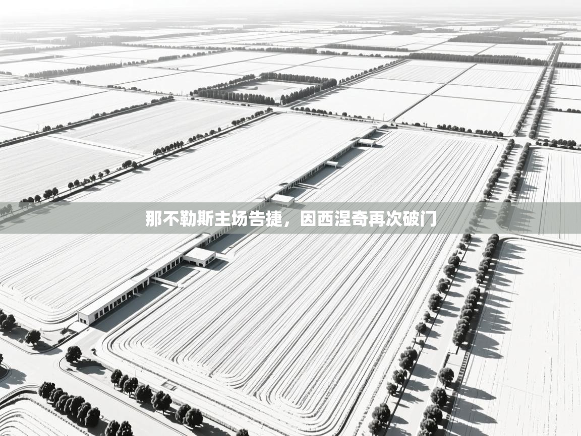 那不勒斯主场告捷，因西涅奇再次破门