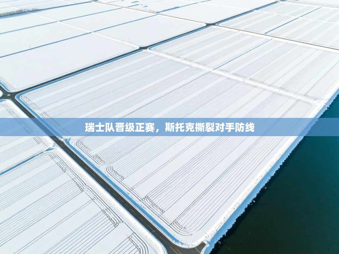 瑞士队晋级正赛，斯托克撕裂对手防线  第1张