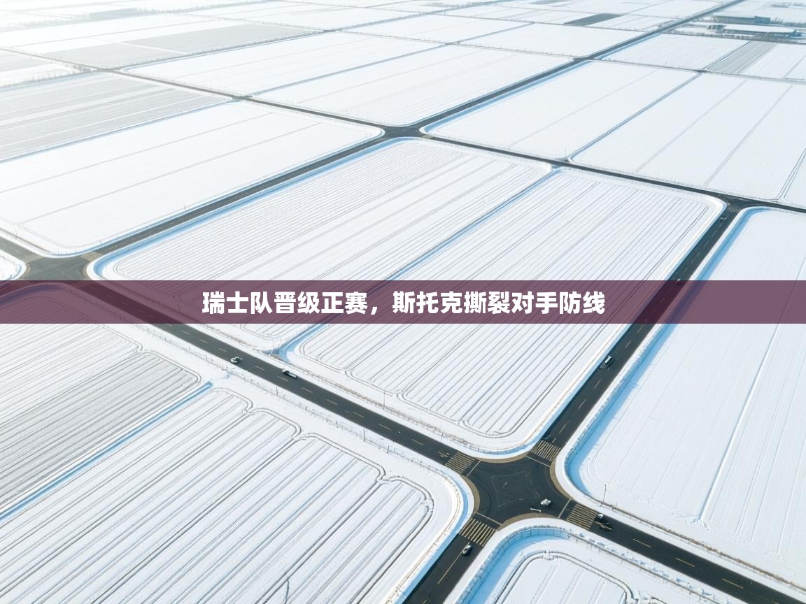 瑞士队晋级正赛，斯托克撕裂对手防线  第2张